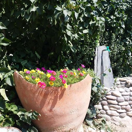 Areni Tavern-B&B ภายนอก รูปภาพ